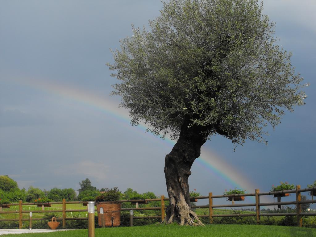 Agriturismo Althea Vittorio Veneto Exterior foto